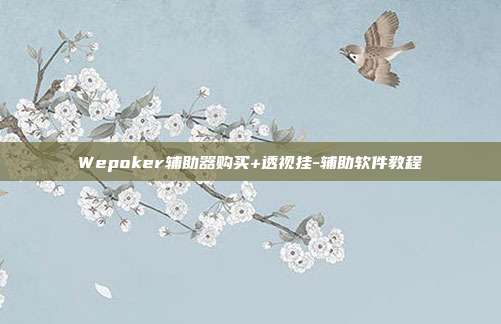 Wepoker辅助器购买+透视挂-辅助软件教程