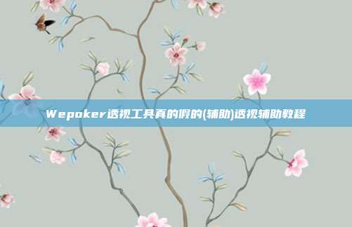 Wepoker透视工具真的假的(辅助)透视辅助教程