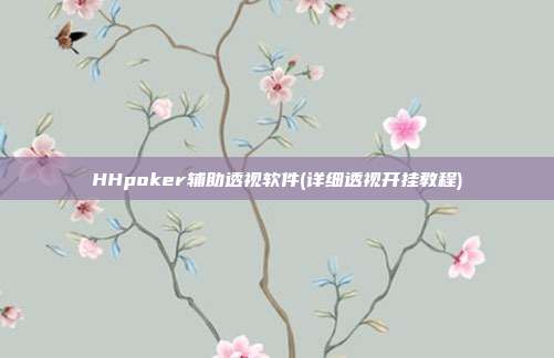 HHpoker辅助透视软件(详细透视开挂教程)