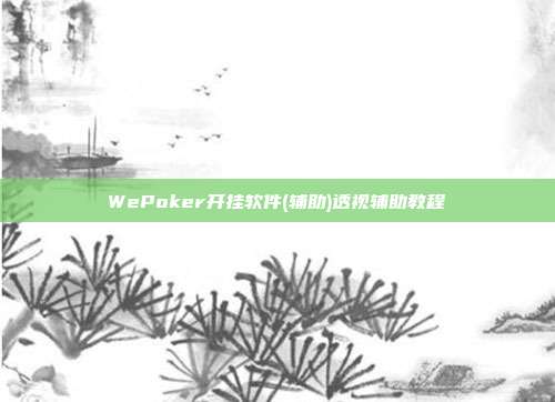 WePoker开挂软件(辅助)透视辅助教程