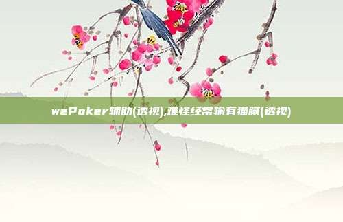 wePoker辅助(透视),难怪经常输有猫腻(透视)