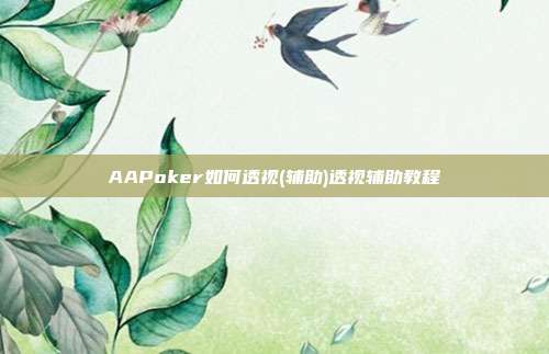 AAPoker如何透视(辅助)透视辅助教程