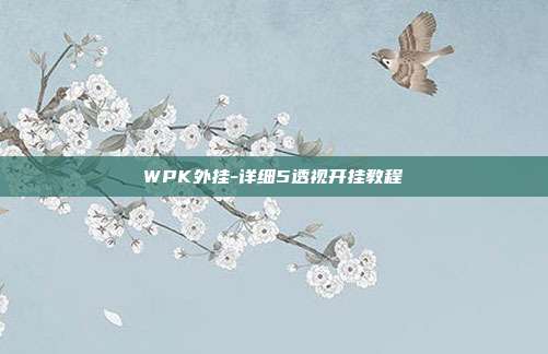 WPK外挂-详细5透视开挂教程