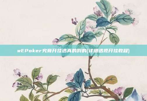 wEPoker究竟开挂透真的假的(详细透视开挂教程)