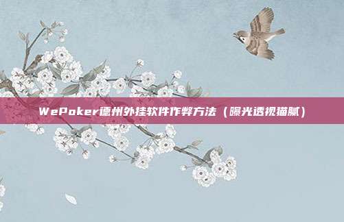 WePoker德州外挂软件作弊方法（曝光透视猫腻）