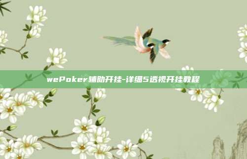 wePoker辅助开挂-详细5透视开挂教程