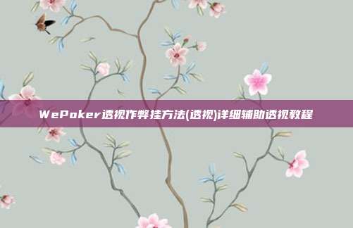 WePoker透视作弊挂方法(透视)详细辅助透视教程