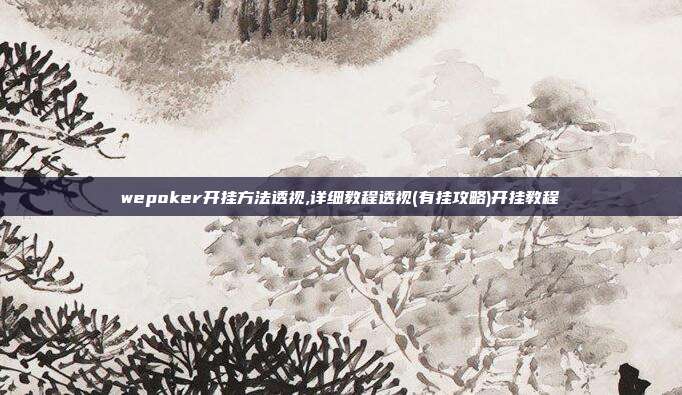 wepoker开挂方法透视,详细教程透视(有挂攻略)开挂教程