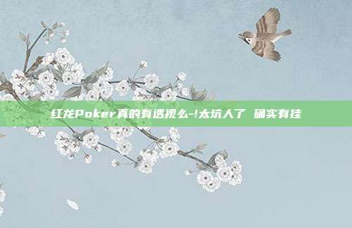 红龙Poker真的有透视么-!太坑人了 确实有挂