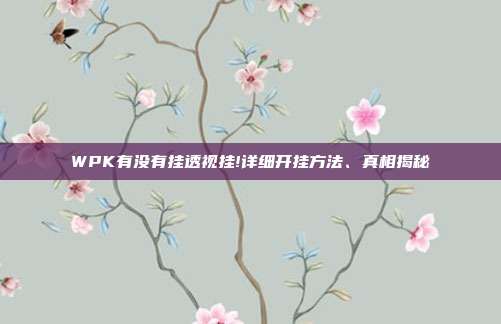 WPK有没有挂透视挂!详细开挂方法、真相揭秘