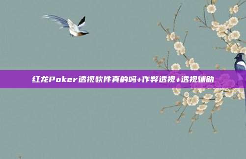 红龙Poker透视软件真的吗+作弊透视+透视辅助