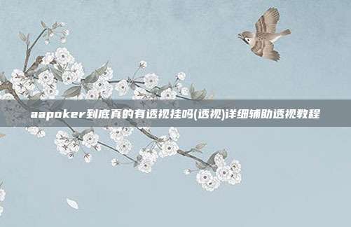 aapoker到底真的有透视挂吗(透视)详细辅助透视教程