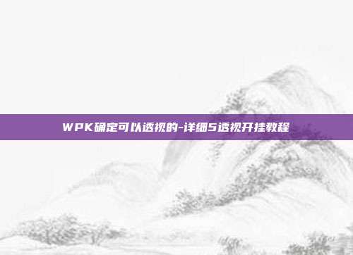 WPK确定可以透视的-详细5透视开挂教程