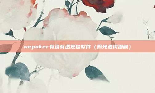 wepoker有没有透视挂软件（曝光透视猫腻）