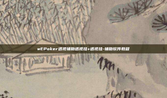 wEPoker透视辅助透视挂+透视挂-辅助软件教程