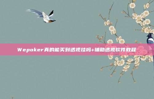 Wepoker真的能买到透视挂吗+辅助透视软件教程