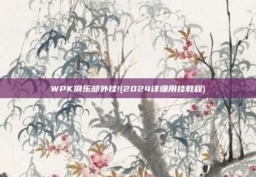 WPK俱乐部外挂!(2024详细用挂教程)