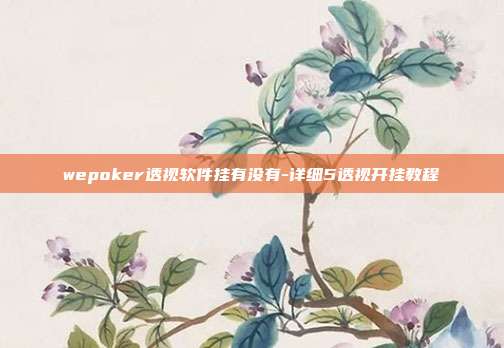 wepoker透视软件挂有没有-详细5透视开挂教程