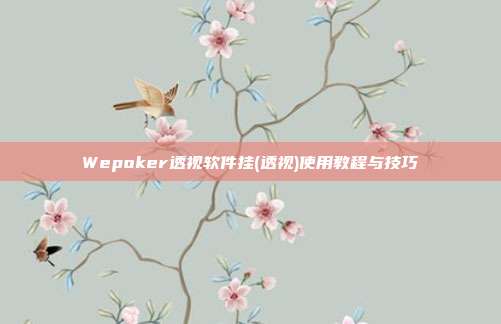 Wepoker透视软件挂(透视)使用教程与技巧