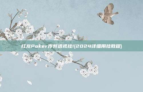 红龙Poker作弊透视挂!(2024详细用挂教程)