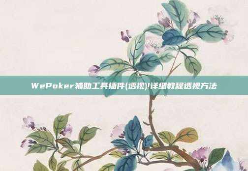 WePoker辅助工具插件(透视)!详细教程透视方法