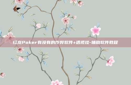 红龙Poker有没有的作弊软件+透视挂-辅助软件教程