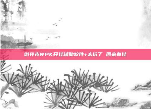 微扑克WPK开挂辅助软件+太坑了 原来有挂