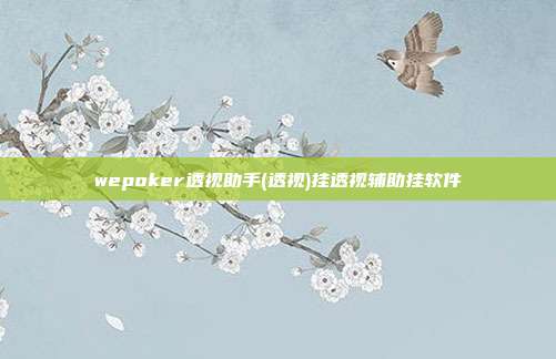 wepoker透视助手(透视)挂透视辅助挂软件