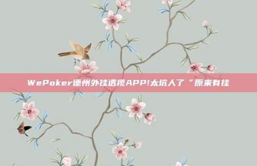 WePoker德州外挂透视APP!太坑人了“原来有挂