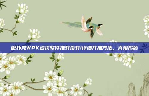 微扑克WPK透视软件挂有没有!详细开挂方法、真相揭秘