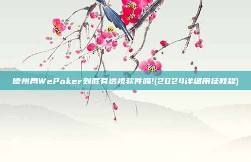 德州局WePoker到底有透视软件吗!(2024详细用挂教程)