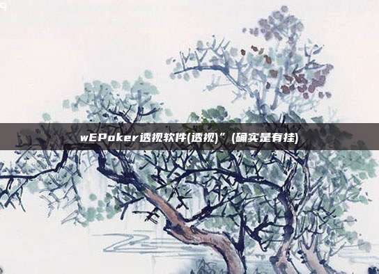 wEPoker透视软件(透视)”(确实是有挂)