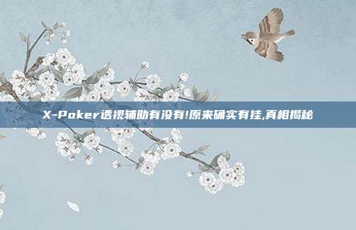 X-Poker透视辅助有没有!原来确实有挂,真相揭秘