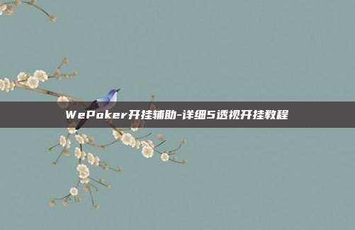 WePoker开挂辅助-详细5透视开挂教程