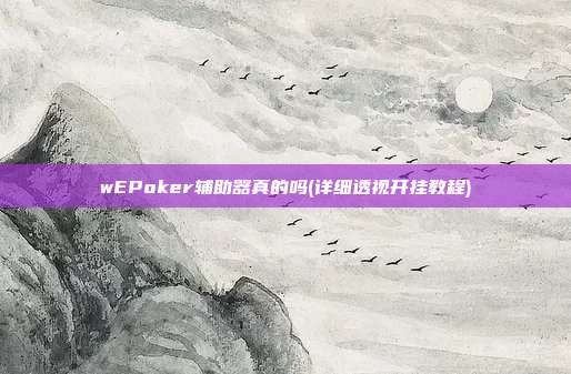 wEPoker辅助器真的吗(详细透视开挂教程)