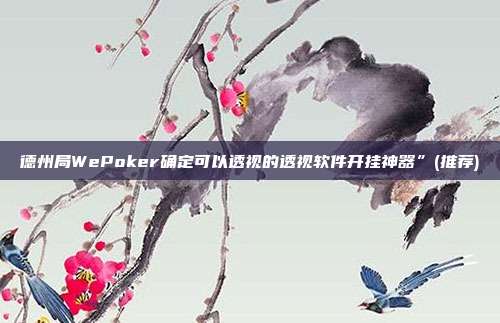 德州局WePoker确定可以透视的透视软件开挂神器”(推荐)