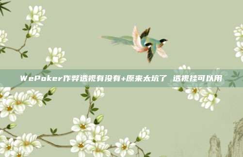 WePoker作弊透视有没有+原来太坑了 透视挂可以用