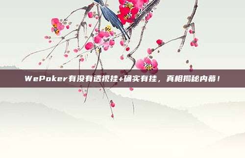 WePoker有没有透视挂+确实有挂，真相揭秘内幕！