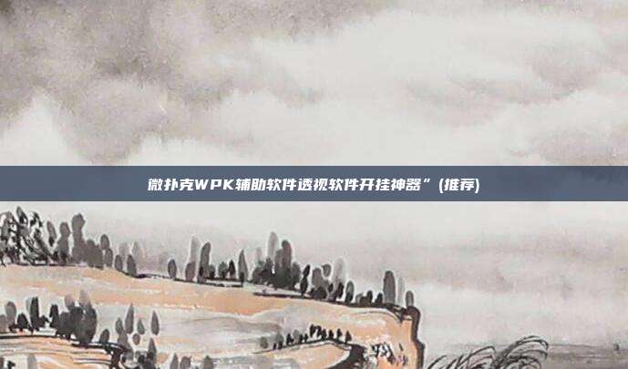 微扑克WPK辅助软件透视软件开挂神器”(推荐)