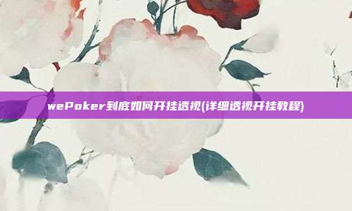 wePoker到底如何开挂透视(详细透视开挂教程)