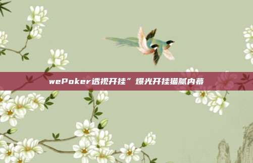 wePoker透视开挂”爆光开挂猫腻内幕