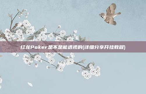 红龙Poker是不是能透视的(详细分享开挂教程)