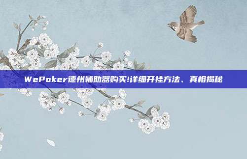 WePoker德州辅助器购买!详细开挂方法、真相揭秘