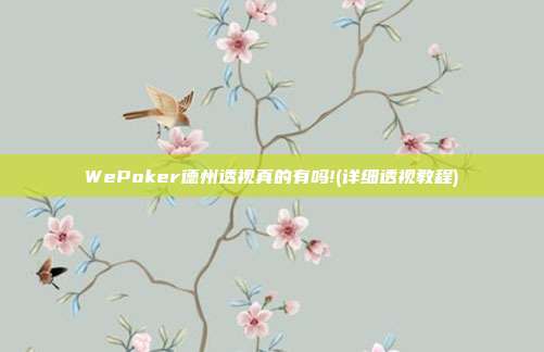 WePoker德州透视真的有吗!(详细透视教程)