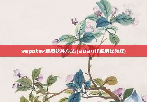 wepoker透视软件方法!(2024详细用挂教程)