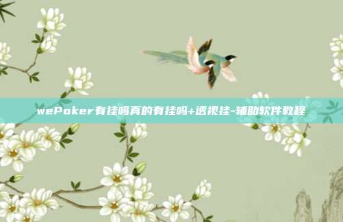 wePoker有挂吗真的有挂吗+透视挂-辅助软件教程