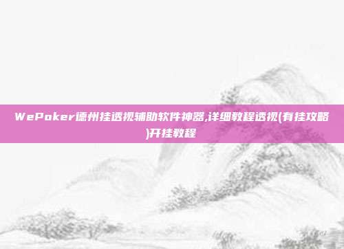 WePoker德州挂透视辅助软件神器,详细教程透视(有挂攻略)开挂教程