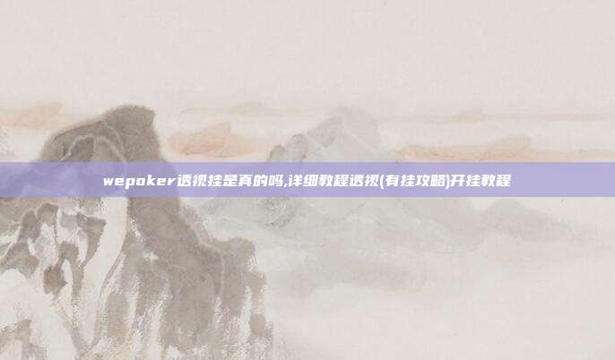 wepoker透视挂是真的吗,详细教程透视(有挂攻略)开挂教程