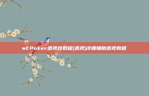 wEPoker透视挂教程(透视)详细辅助透视教程