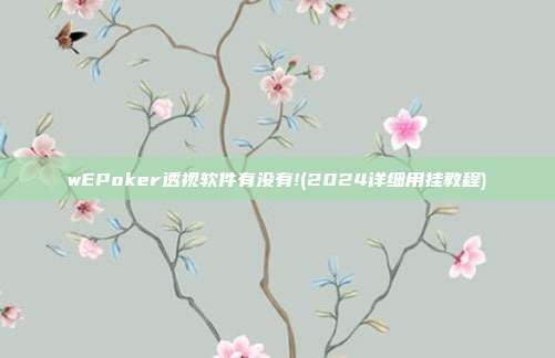 wEPoker透视软件有没有!(2024详细用挂教程)